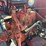 leon-707-image-44