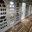 #2150-•-2017-barrett-53'-cattle-semi-trailer-image-56