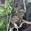 2016-deere-2154d-image-57