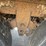 #2186-•-2002-hyundai-48'-dry-van-image-50