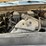 2011-ford-f250-image-26