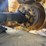 caterpillar-928g-image-63