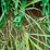 2012-john-deere-6210r-image-9