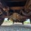 2001-ford-f350-image-31