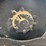 #2454-•-case-steiger-9380-quad-trac-tractor-image-72