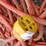 orange-hd-extension-cord-image-2