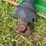 john-deere-mx7-image-16
