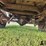 ford-f100-image-17