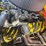 #50091-•-1941-ford-single-cab-pickup-sw100960pa-inv#50091-image-49