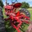 1941-farmall-m-image-16