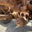 international-4400-image-29