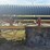 #1321-•-32"x70'-land-conveyer-image-19