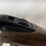savage-170-image-11