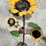 #32-•-metal-yard-art---sunflowers-w/-lady-bug-image-3