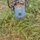 2-cone-2500-gal-fertilizer-tanks-on-trailer-image-2