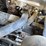 2018-yanmar-s220r-image-48