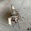 ford-heh-bt-4-speed-top-loader-transmission-image-2
