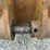 caterpillar-988-image-6