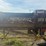 #1321-•-32"x70'-land-conveyer-image-14