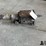1970-ford-mustang-top-loader-4-speed-transmission-image-4