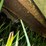 #1180-•-tiger-ditch-mower-image-20
