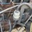 bobcat-231-image-43