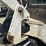 bobcat-231-image-16