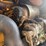 #1298-•-caterpillar-m318d-material-handler-image-27