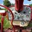 1962-farmall-560-diesel-image-13