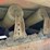 #1756-•-30'-conveyor-image-31