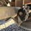 #3263-•-1998-wabash-53'-dry-van-image-21