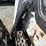 2020-bobcat-t740-image-12