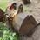#1769-•-approx-36"-excavator-bucket-image-5