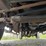 2008-ford-f350-image-30