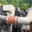 #1362-•-2010-peterbilt-day-cab-truck-tractor-image-19