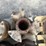 #1340-•-dayton-hubs-with-rings-and-rims-image-29