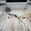 2008-ford-f350-image-20