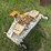 international-cub-image-15