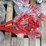 unused-qty-of-multi-purpose-rigging-equipment-image-10
