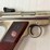 sturm-ruger-pistol-image-2