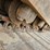 caterpillar-328d-lcr-image-25