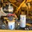 #1298-•-caterpillar-m318d-material-handler-image-29