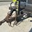 #5022-•-nlb-corp.-10150d-towable-air-compressor-image-9