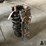 1972-ford-351-cleveland-2-bolt-main-standard-bore-short-block-image-1