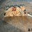 ford-429-super-cobra-jet-intake-manifold-image-4