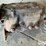 ford-heh-bt-4-speed-top-loader-transmission-image-10