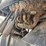 1999-volvo-wg64-image-51