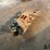 ford-429-super-cobra-jet-intake-manifold-image-5