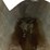 #5050-•-guzzler-nx-vacuum-body-image-25