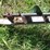 grain-auger-on-wheels-34'x5"-540-pto-image-5